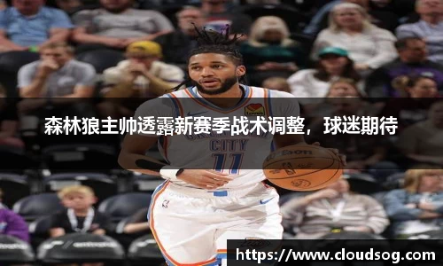 森林狼主帅透露新赛季战术调整，球迷期待