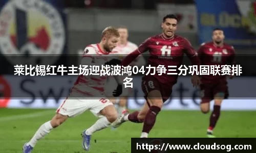 莱比锡红牛主场迎战波鸿04力争三分巩固联赛排名