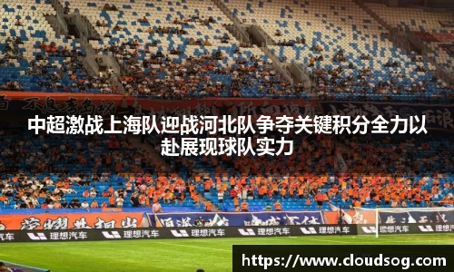 中超激战上海队迎战河北队争夺关键积分全力以赴展现球队实力