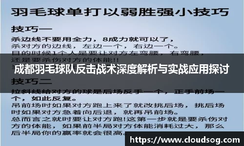 成都羽毛球队反击战术深度解析与实战应用探讨
