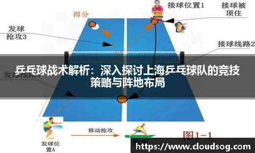 乒乓球战术解析：深入探讨上海乒乓球队的竞技策略与阵地布局
